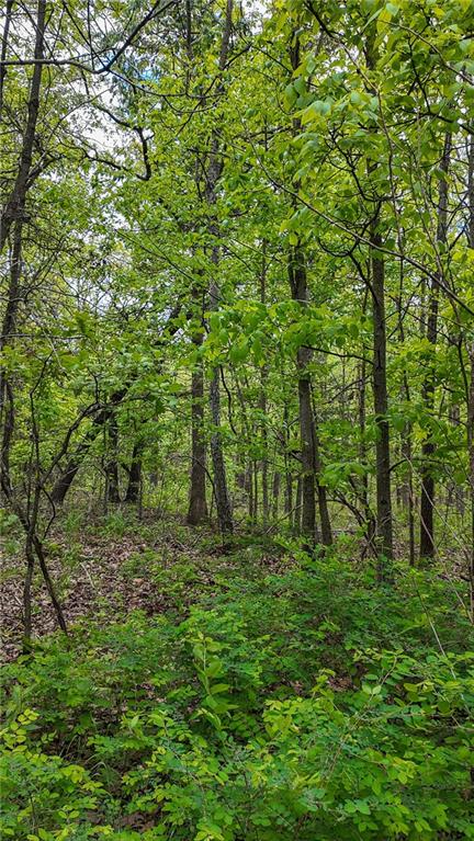 11375 Northeast 50 Road Osceola, MO 64776 - Photo 23 of 59