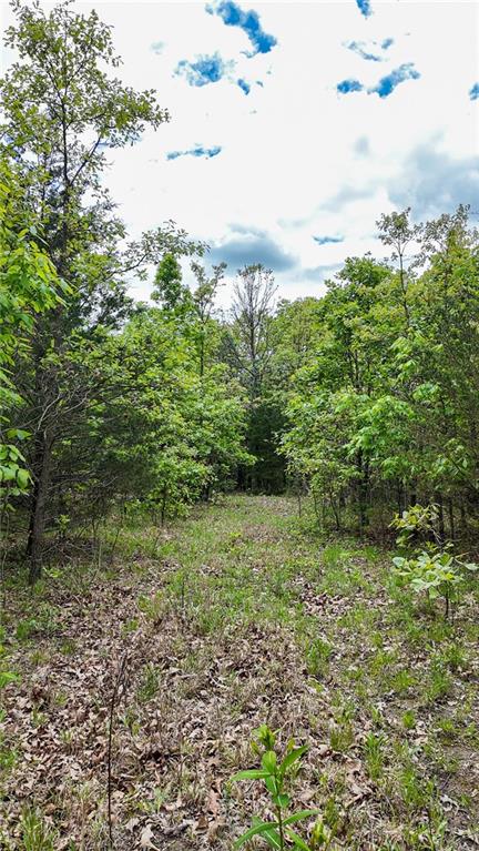 11375 Northeast 50 Road Osceola, MO 64776 - Photo 24 of 59