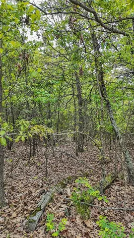 $295,000 | 11375 Northeast 50 Road, Osceola, MO 64776