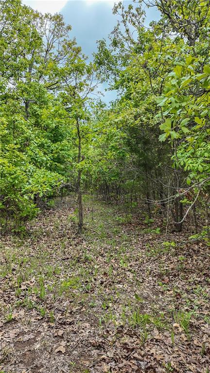 11375 Northeast 50 Road Osceola, MO 64776 - Photo 26 of 59