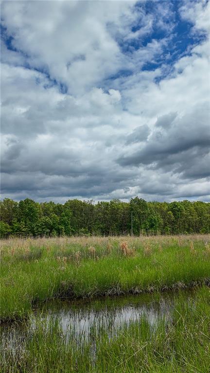 11375 Northeast 50 Road Osceola, MO 64776 - Photo 29 of 59