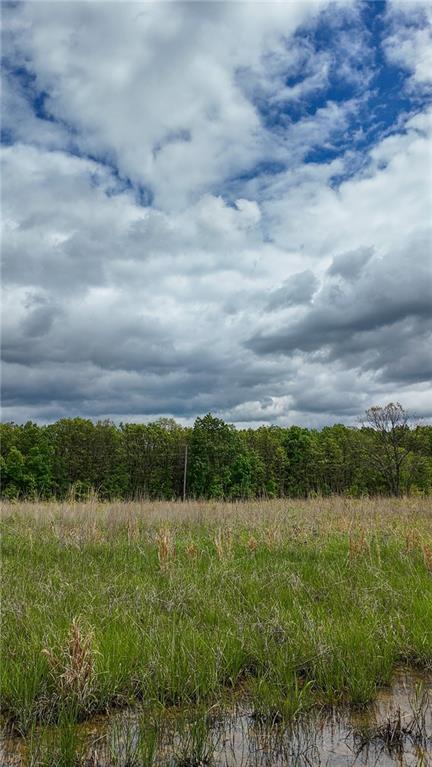 11375 Northeast 50 Road Osceola, MO 64776 - Photo 30 of 59