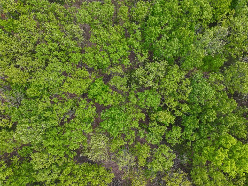 11375 Northeast 50 Road Osceola, MO 64776 - Photo 3 of 59