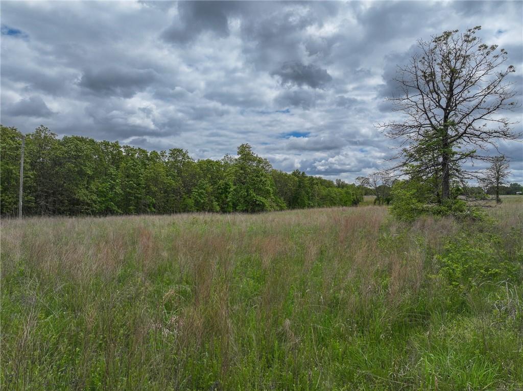 11375 Northeast 50 Road Osceola, MO 64776 - Photo 36 of 59