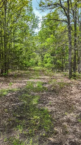 $295,000 | 11375 Northeast 50 Road, Osceola, MO 64776