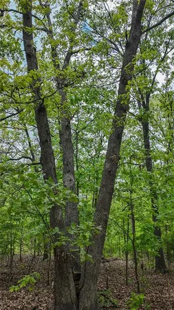 $295,000 | 11375 Northeast 50 Road, Osceola, MO 64776