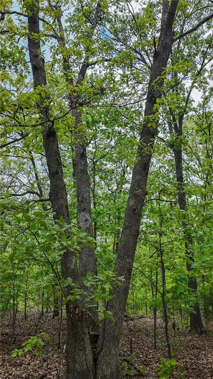 11375 Northeast 50 Road Osceola, MO 64776 - Photo 8 of 59