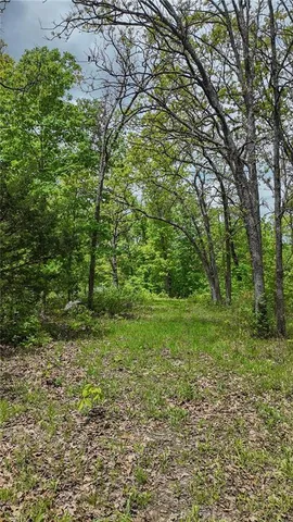 $295,000 | 11375 Northeast 50 Road, Osceola, MO 64776