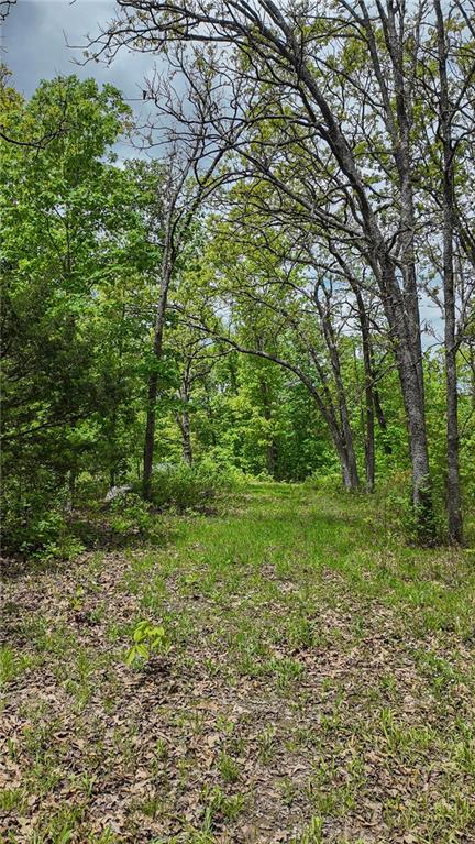 11375 Northeast 50 Road Osceola, MO 64776 - Photo 9 of 59