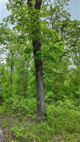 $295,000 | 11375 Northeast 50 Road, Osceola, MO 64776