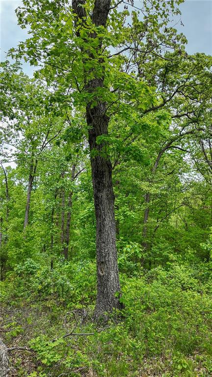 11375 Northeast 50 Road Osceola, MO 64776 - Photo 10 of 59