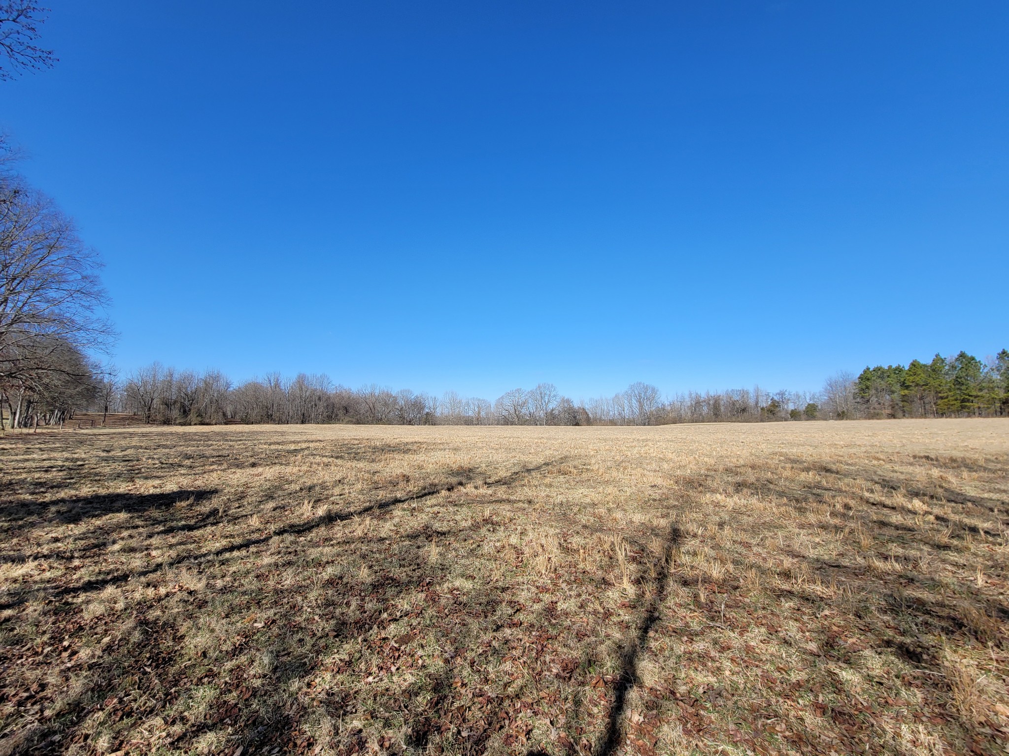 31 Cairo Bend Road Lebanon, TN 37087 - Photo 14 of 21 Gallery Image 14