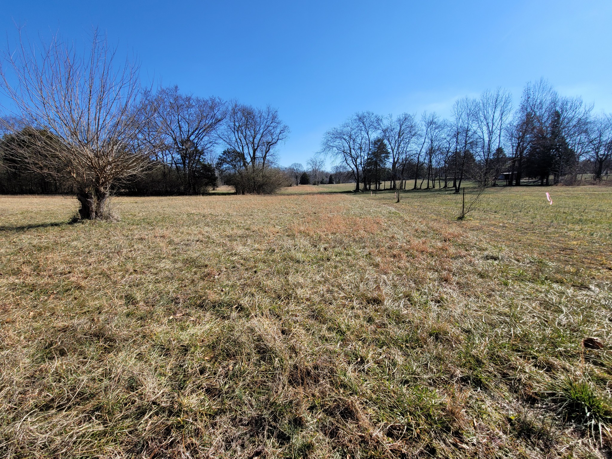 31 Cairo Bend Road Lebanon, TN 37087 - Photo 4 of 21 Gallery Image 4