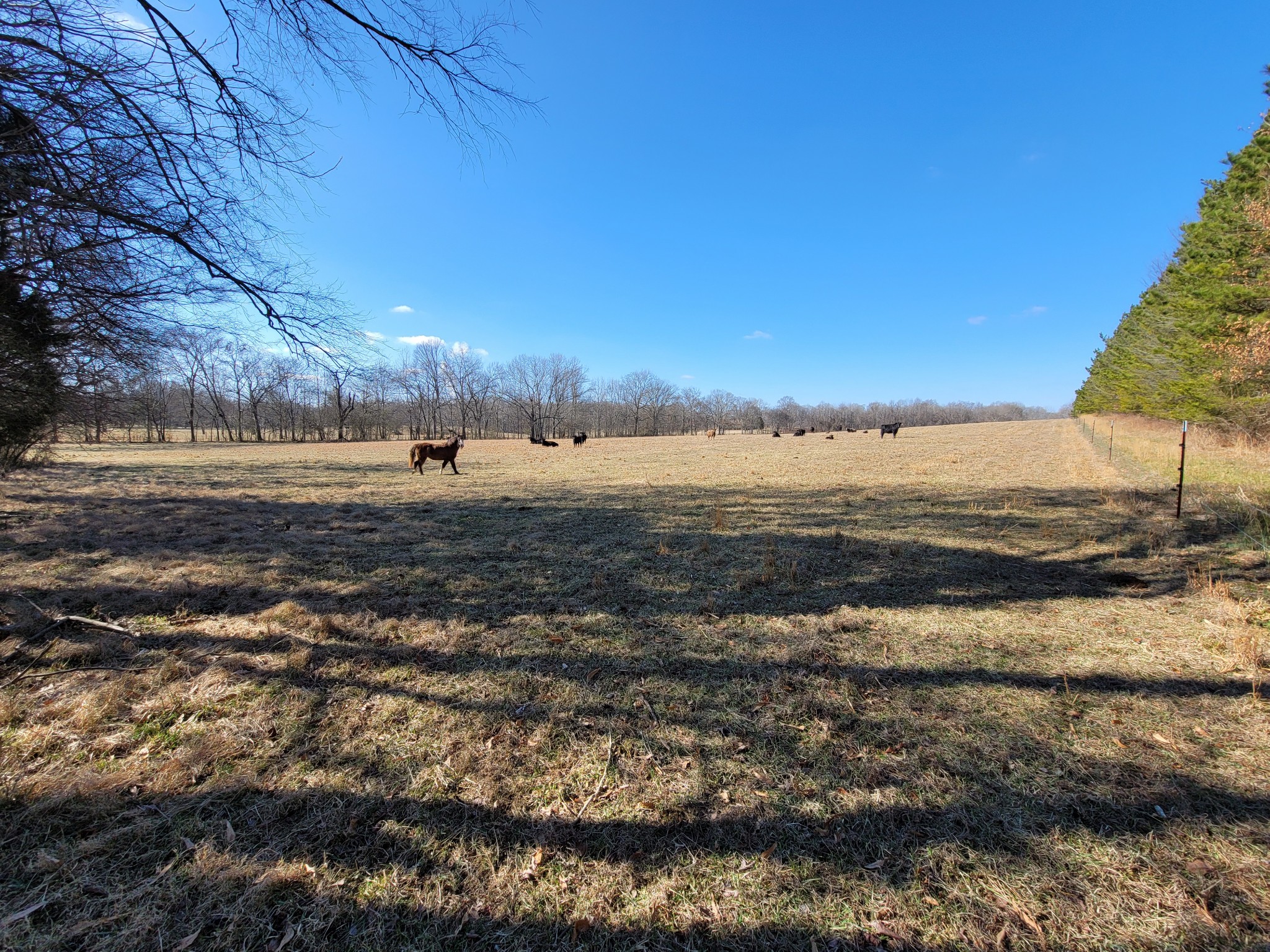 31 Cairo Bend Road Lebanon, TN 37087 - Photo 5 of 21 Gallery Image 5