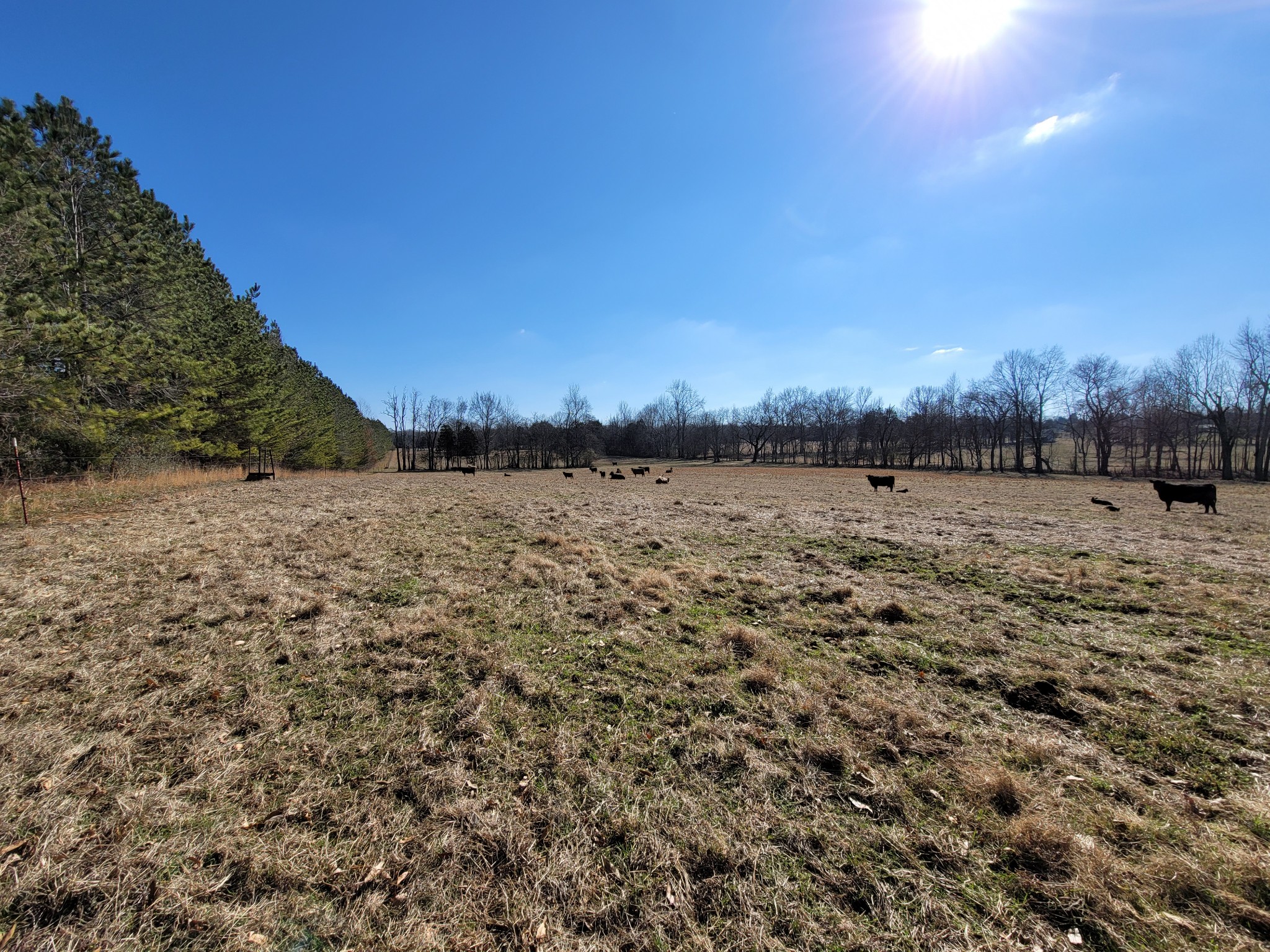 31 Cairo Bend Road Lebanon, TN 37087 - Photo 6 of 21 Gallery Image 6