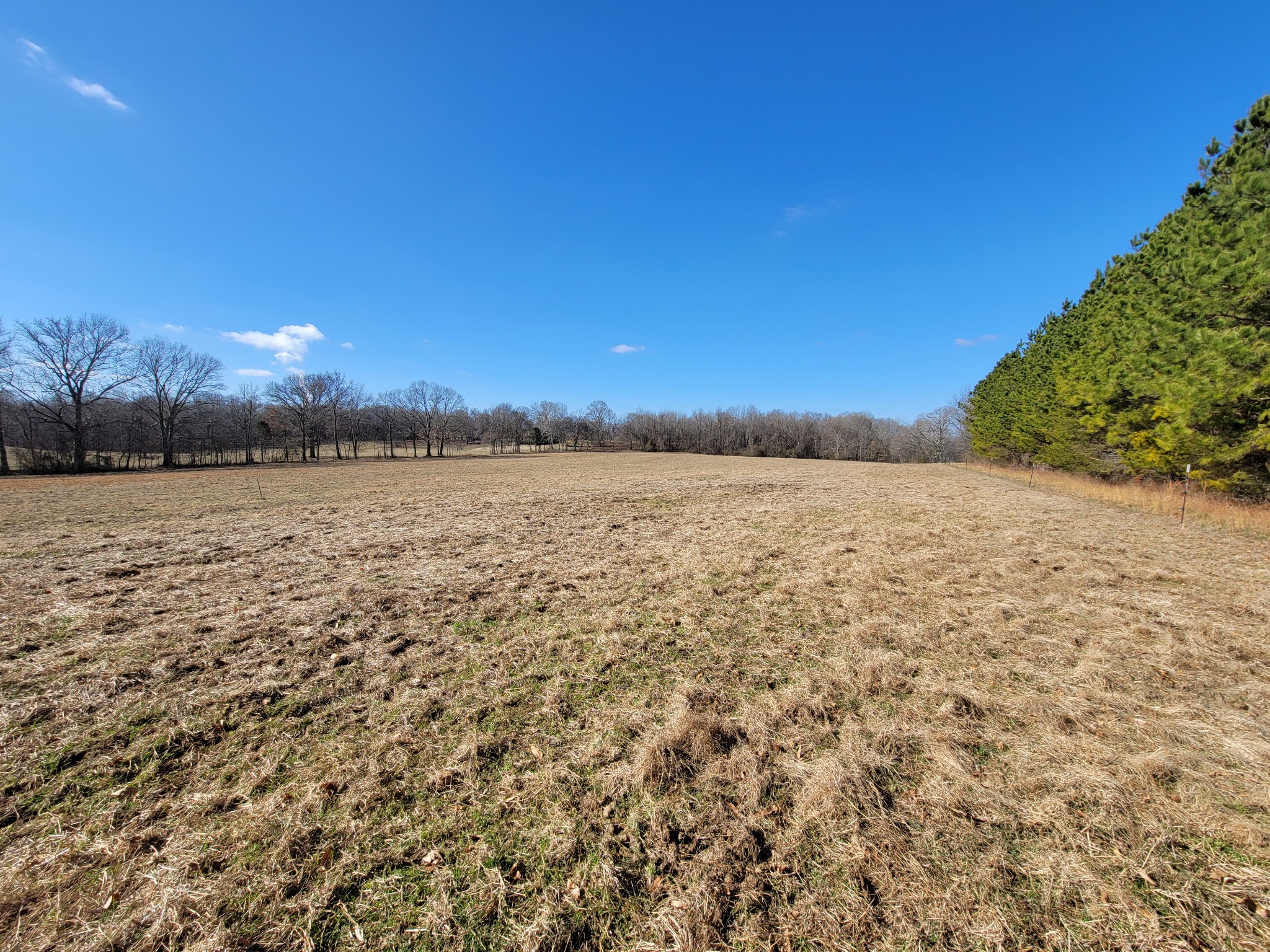 31 Cairo Bend Road Lebanon, TN 37087 - Photo 7 of 21 Gallery Image 7