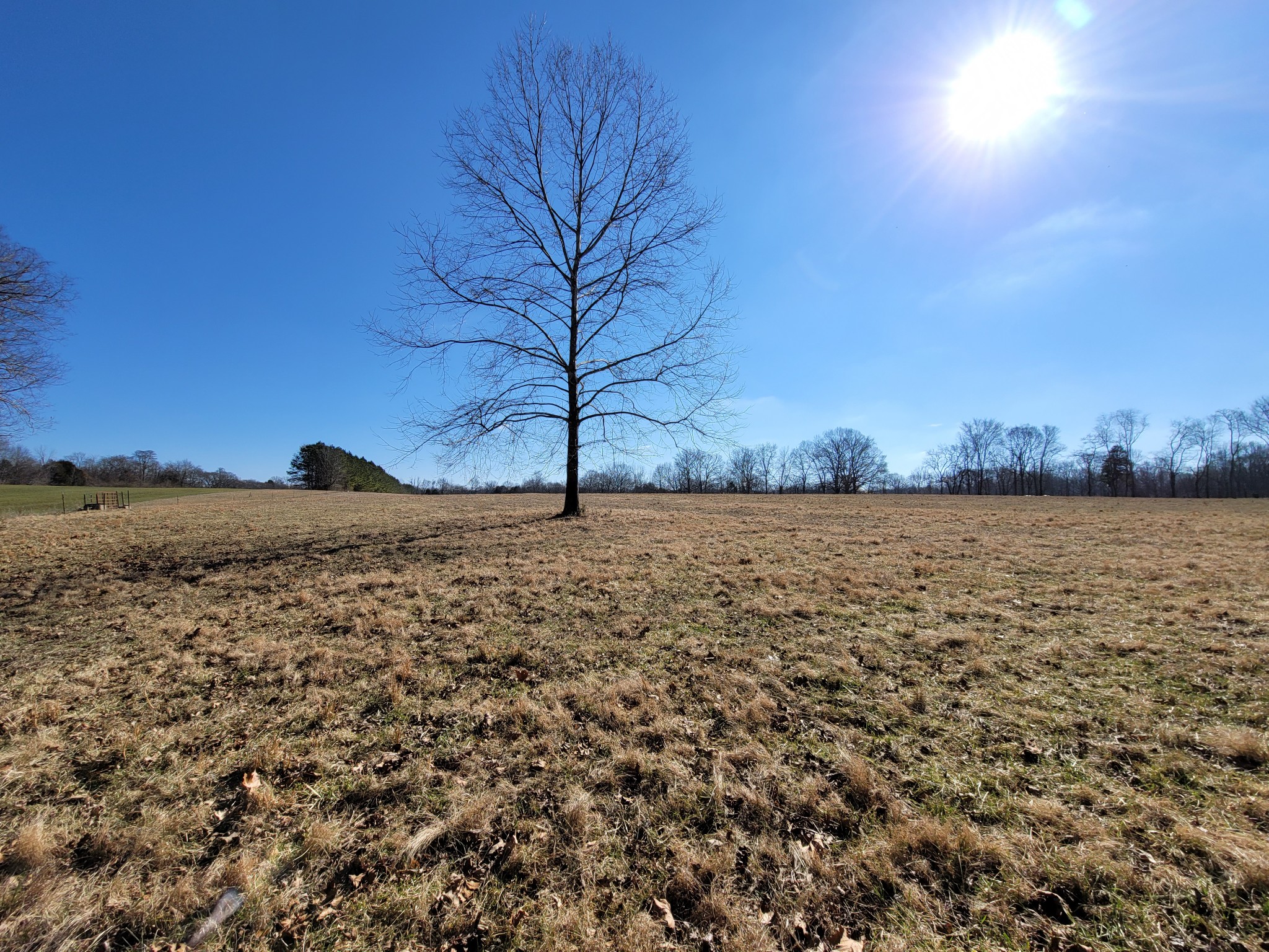 31 Cairo Bend Road Lebanon, TN 37087 - Photo 8 of 21 Gallery Image 8