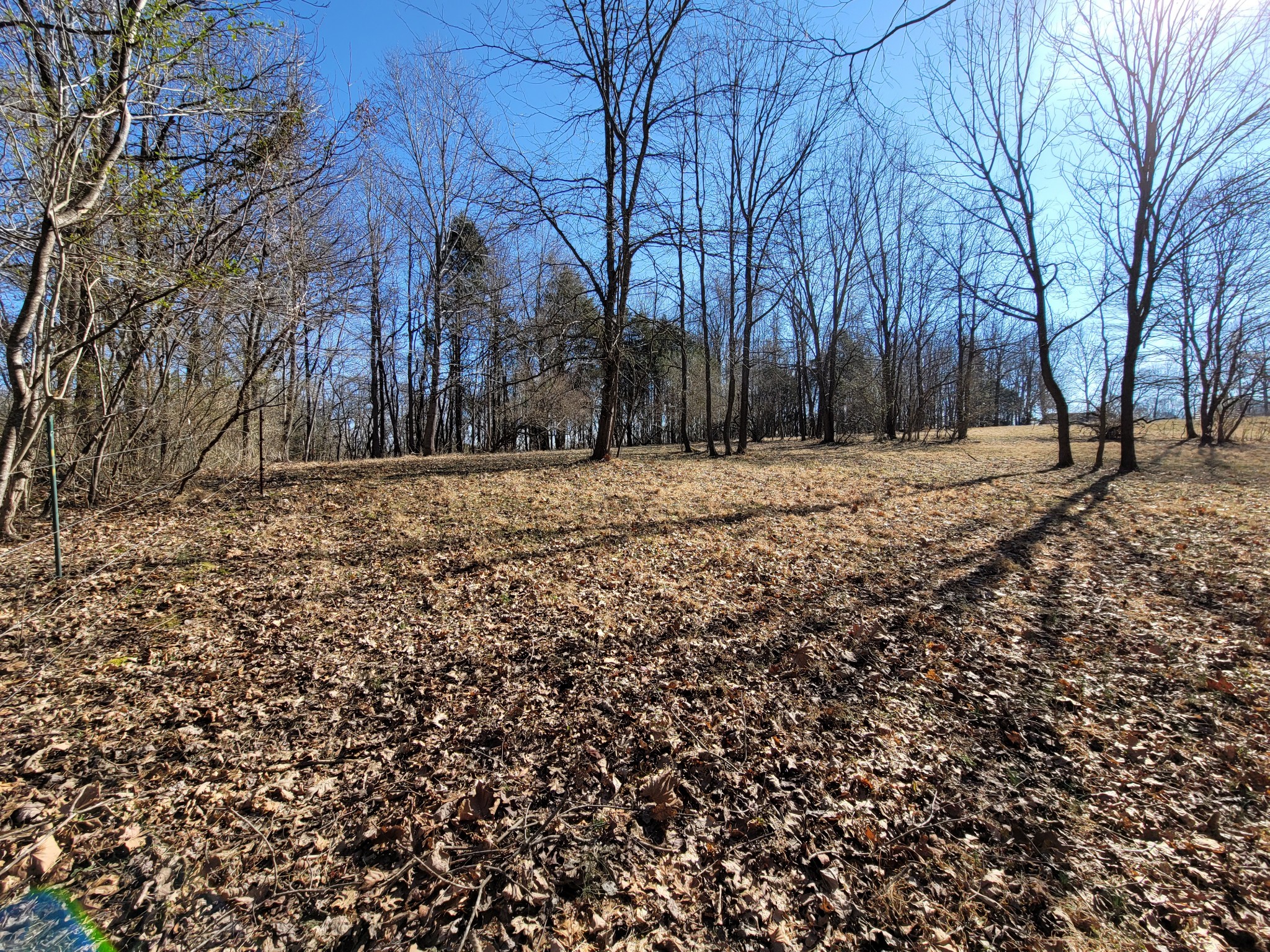 31 Cairo Bend Road Lebanon, TN 37087 - Photo 9 of 21 Gallery Image 9
