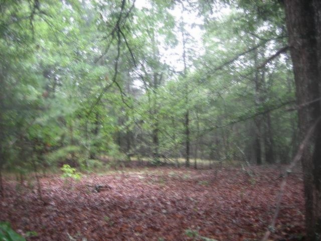Corner Of Austin & Locke Roads Belton, SC 29627 - Photo 1 of 7