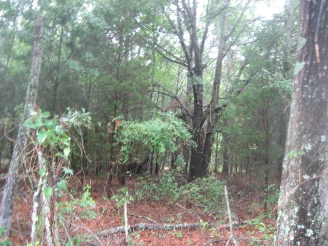 Corner Of Austin & Locke Roads Belton, SC 29627 - Photo 4 of 7