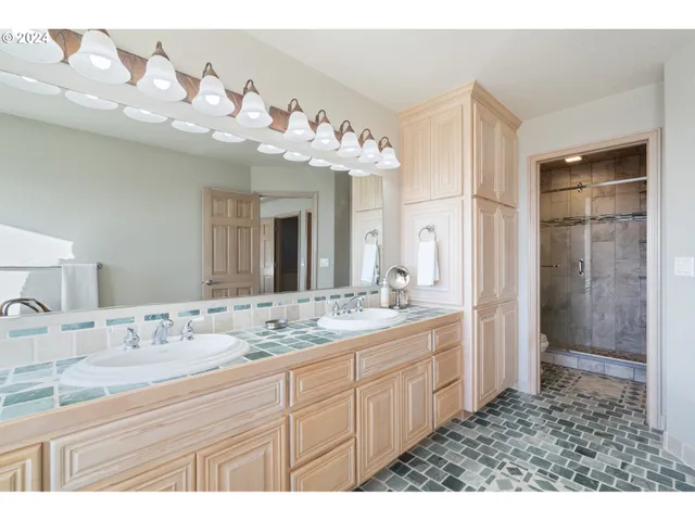 a bathroom with a shower and a toilet