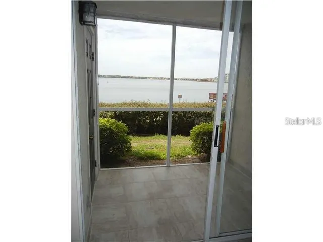 a view of a garden from a window