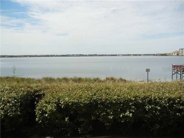 a view of a lake from a yard