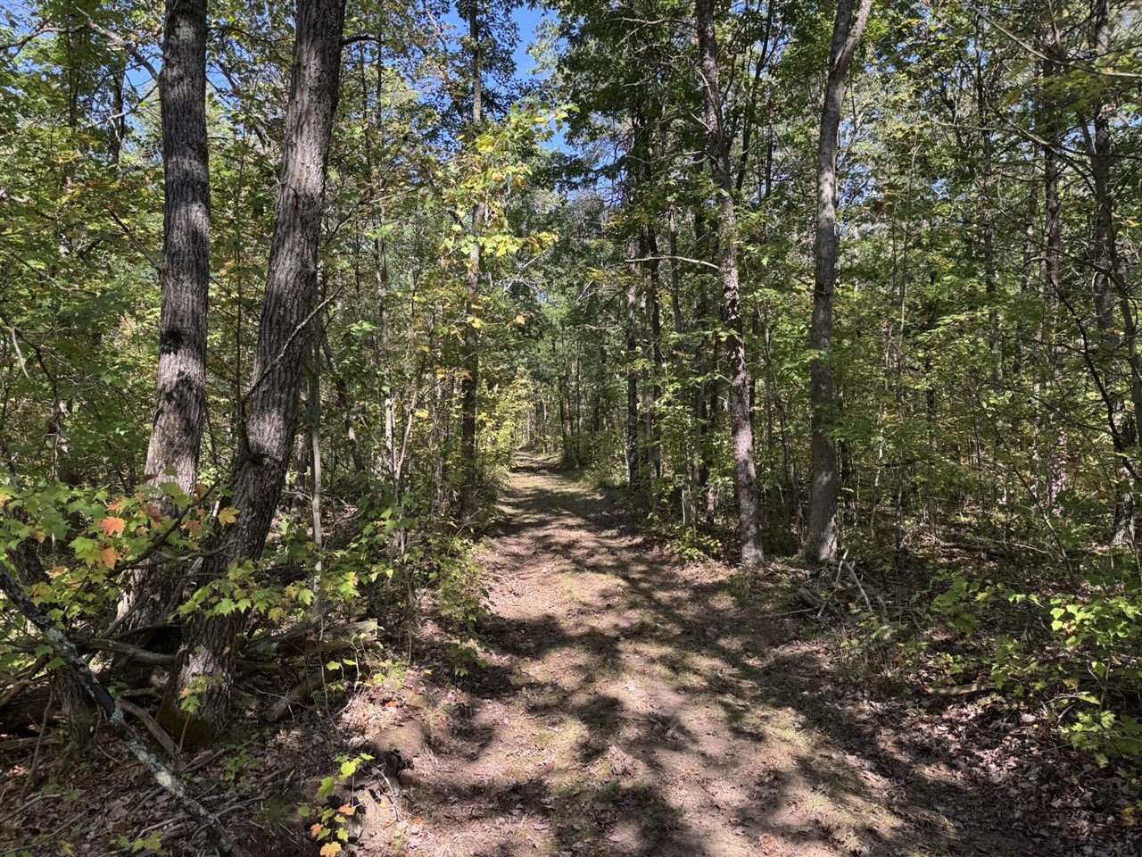 East County Line Road Manistee, MI 49660 - Photo 17 of 32