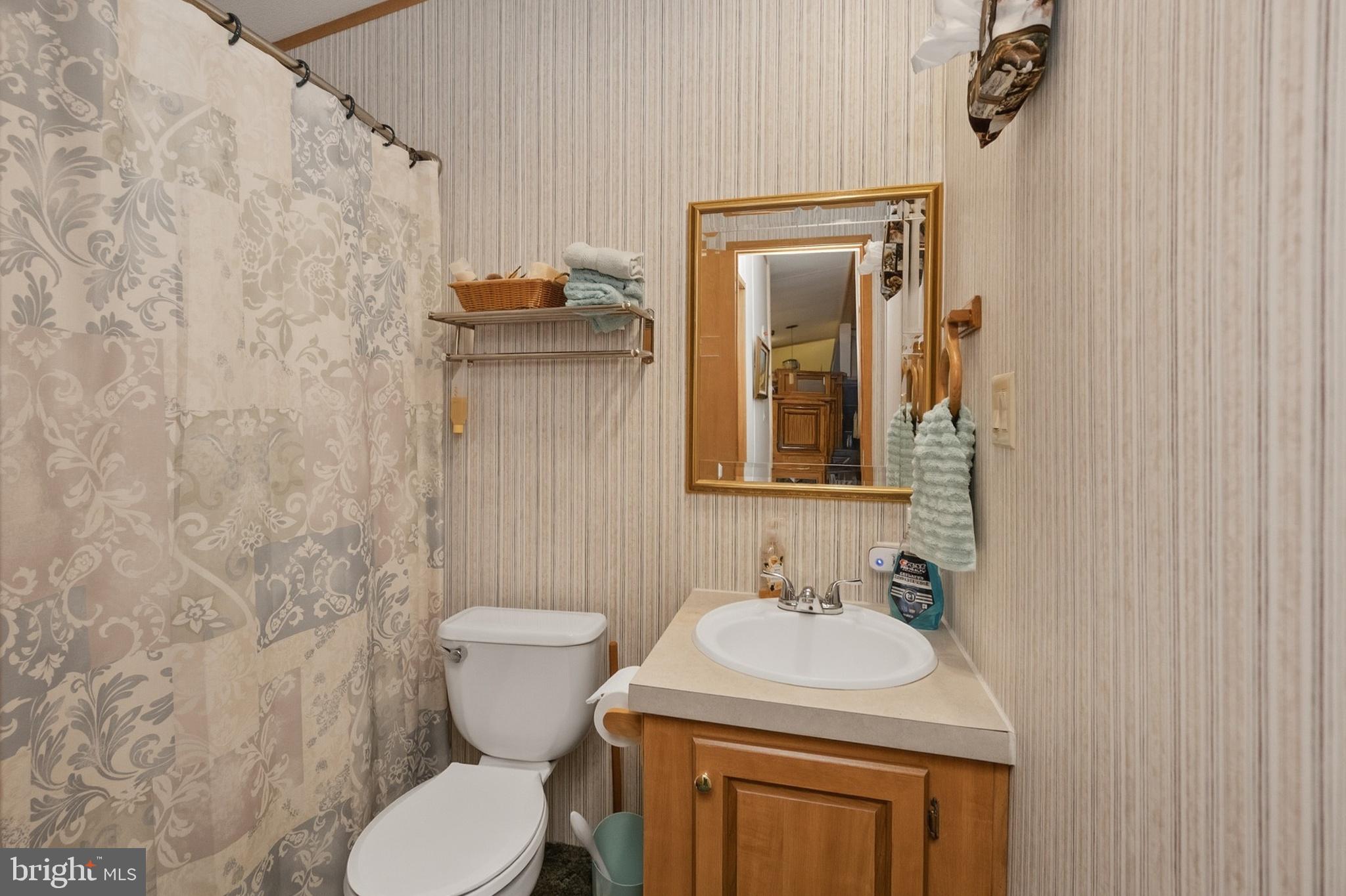 2461 Old Morgantown Road East Accident, MD 21520 - Photo 24 of 50 a bathroom with a sink a toilet and mirror