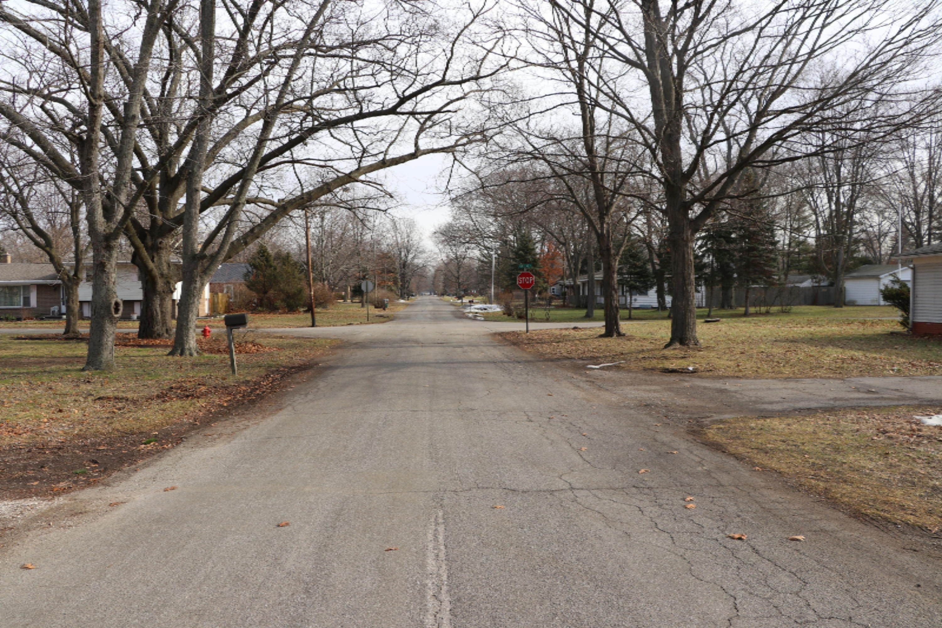 513 Chippewa Road Benton Harbor, MI 49022 - Photo 34 of 35 IMG_2894