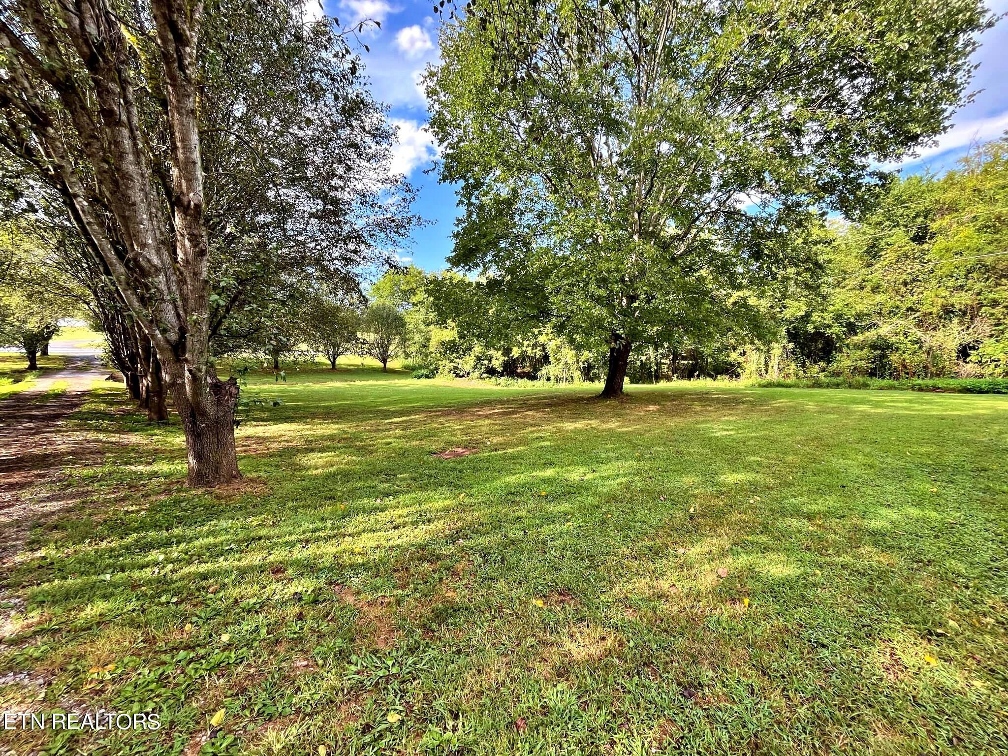 2167 County Road 700 Riceville, TN 37370 - Photo 11 of 32 38f141d9-c1c8-424a-ae18-911a3e8655e3