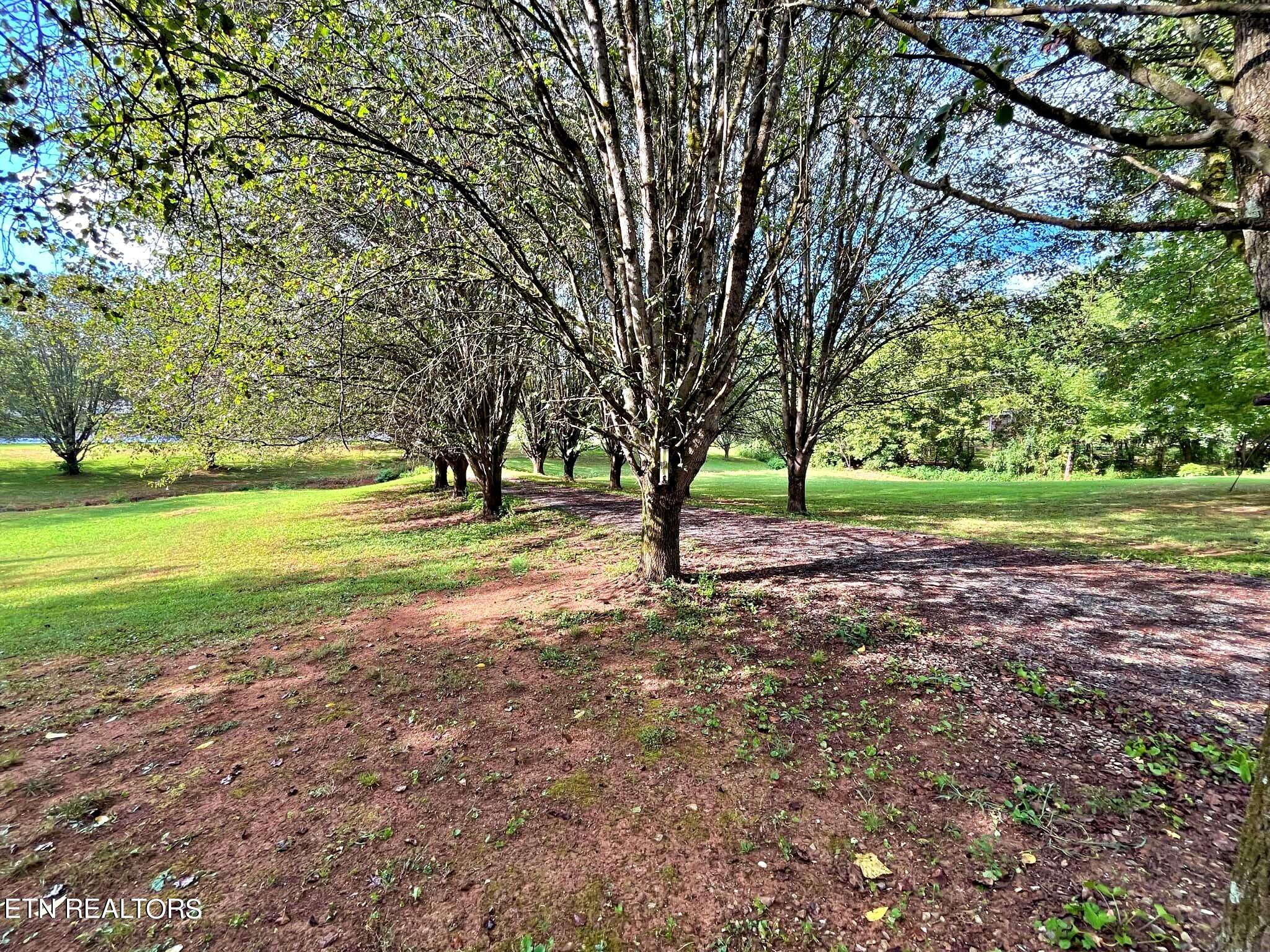 2167 County Road 700 Riceville, TN 37370 - Photo 12 of 32 ddcecef4-bbbd-4648-b10f-cfe658683b23