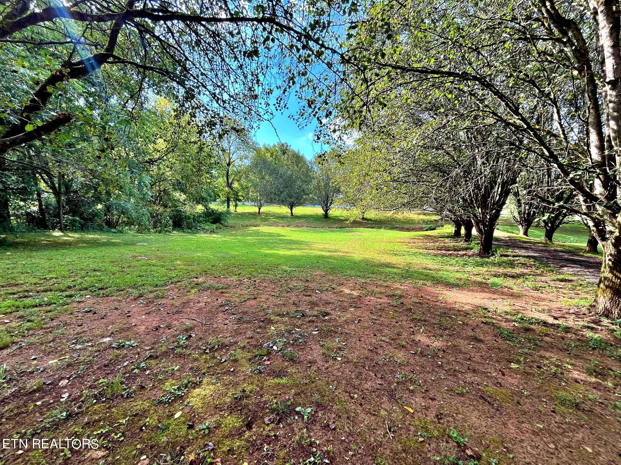 2167 County Road 700 Riceville, TN 37370 - Photo 14 of 32 5701636f-0756-4909-9fd0-830477a5b8a3