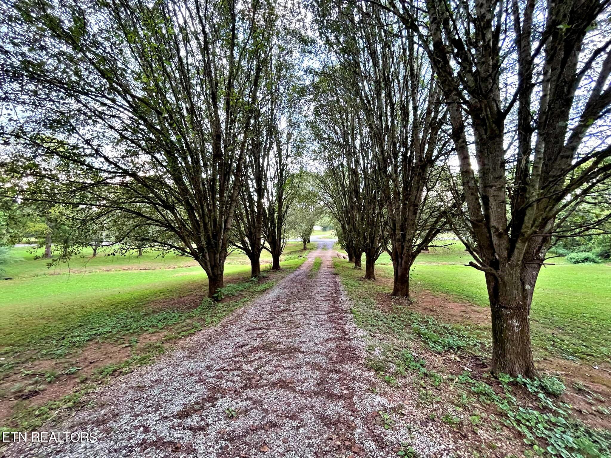 2167 County Road 700 Riceville, TN 37370 - Photo 6 of 32 1792ece1-096f-4e9a-8531-2c318eeb988e
