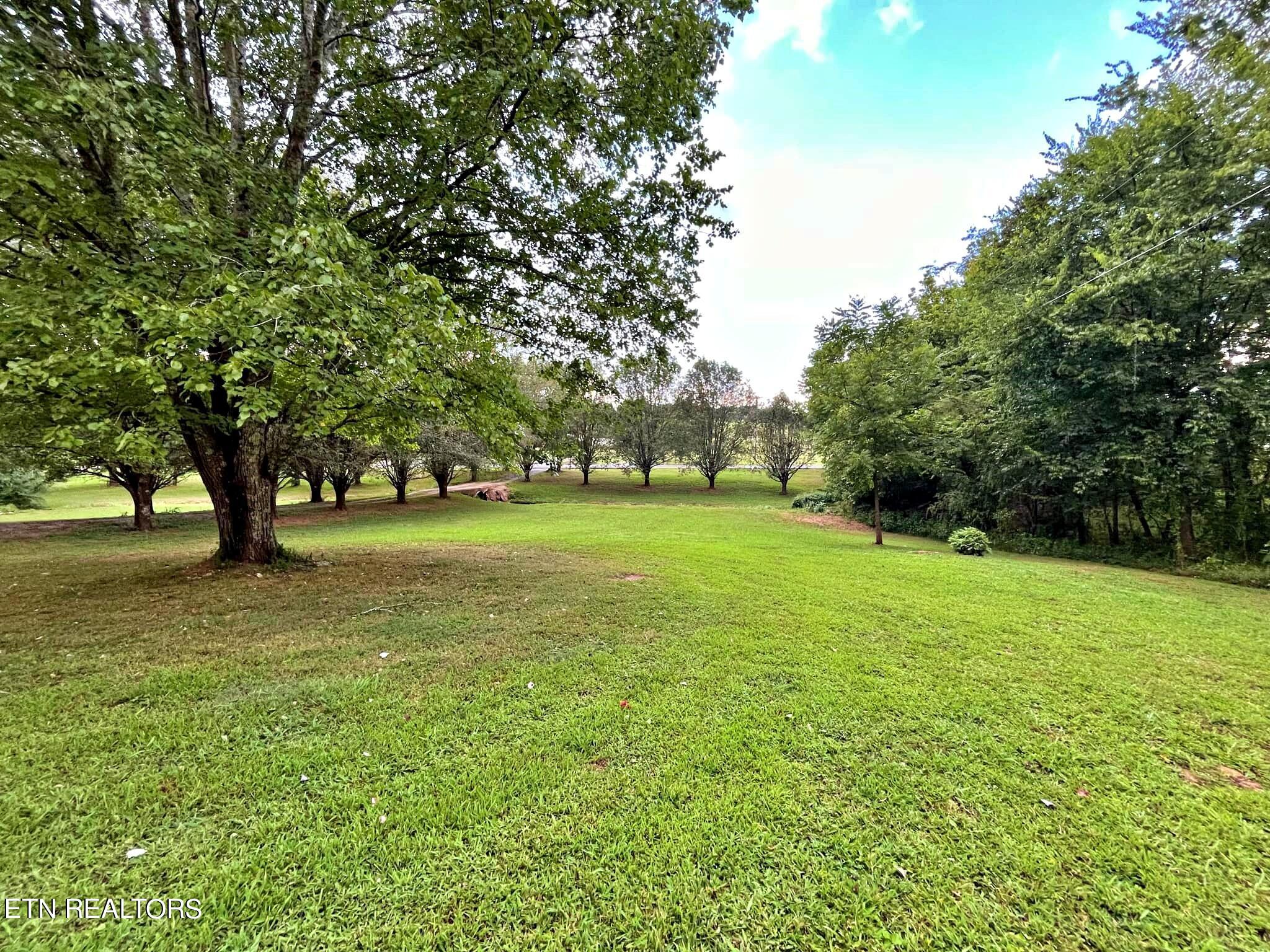 2167 County Road 700 Riceville, TN 37370 - Photo 10 of 32 39fc83aa-0d57-4811-9035-15ead7422abb