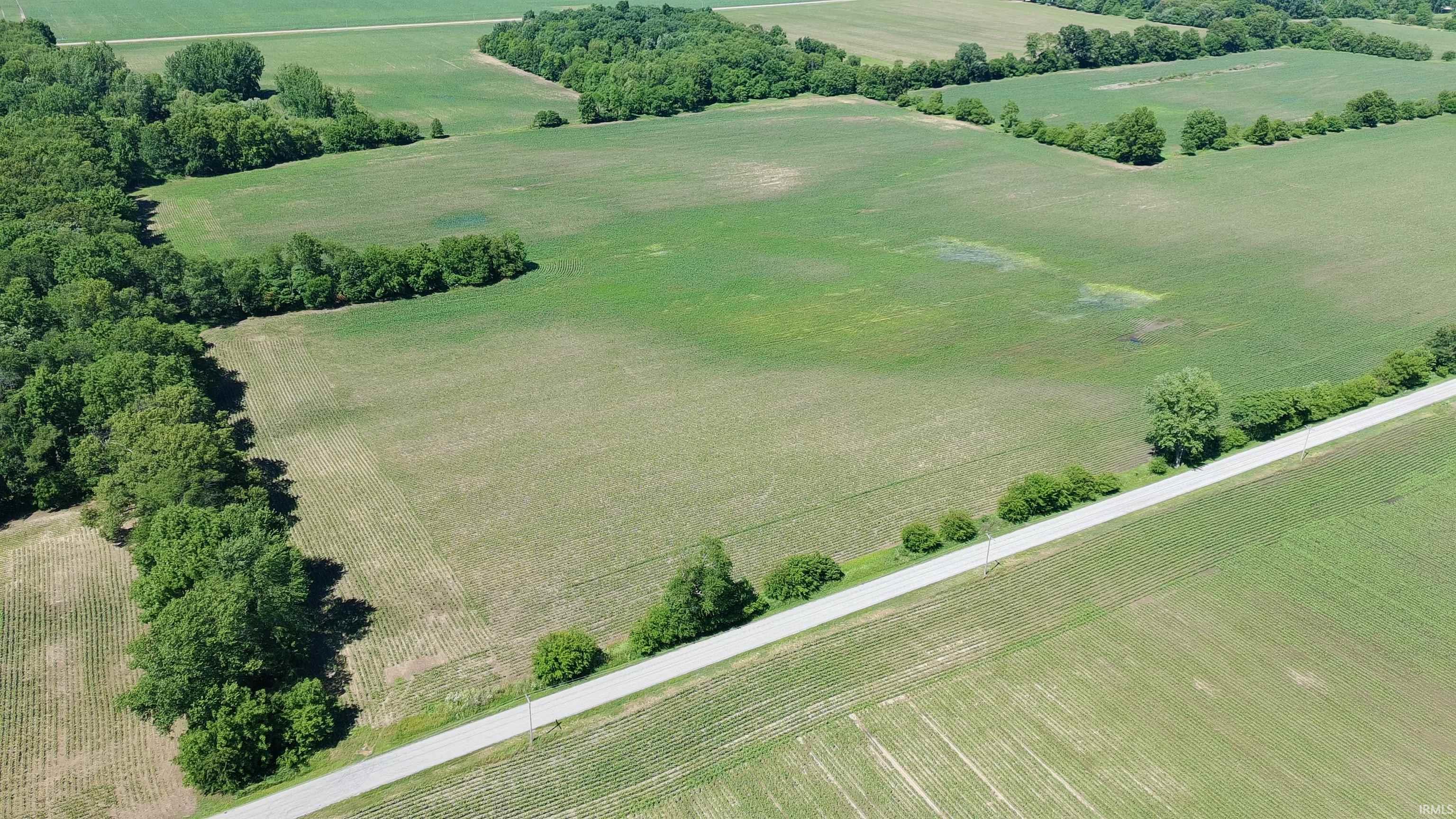 State Road Monticello, IN 47960 - Photo 6 of 10