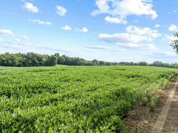 1404 Trailer Calhoun Key, Calhoun, KY 42327