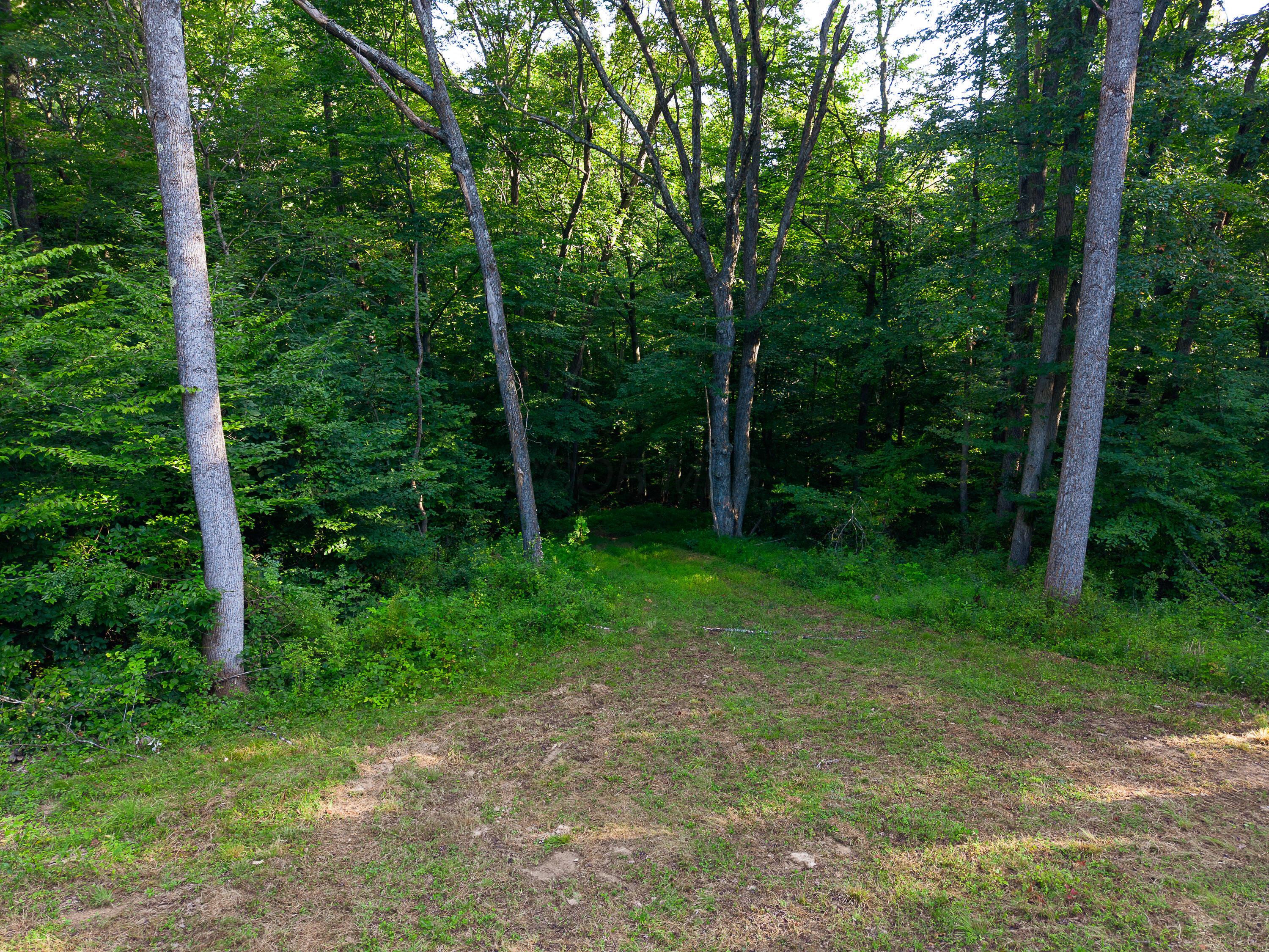 13312 Jake Tom Road Logan, OH 43138 - Photo 51 of 55 DJI_20260805084357_0148_D