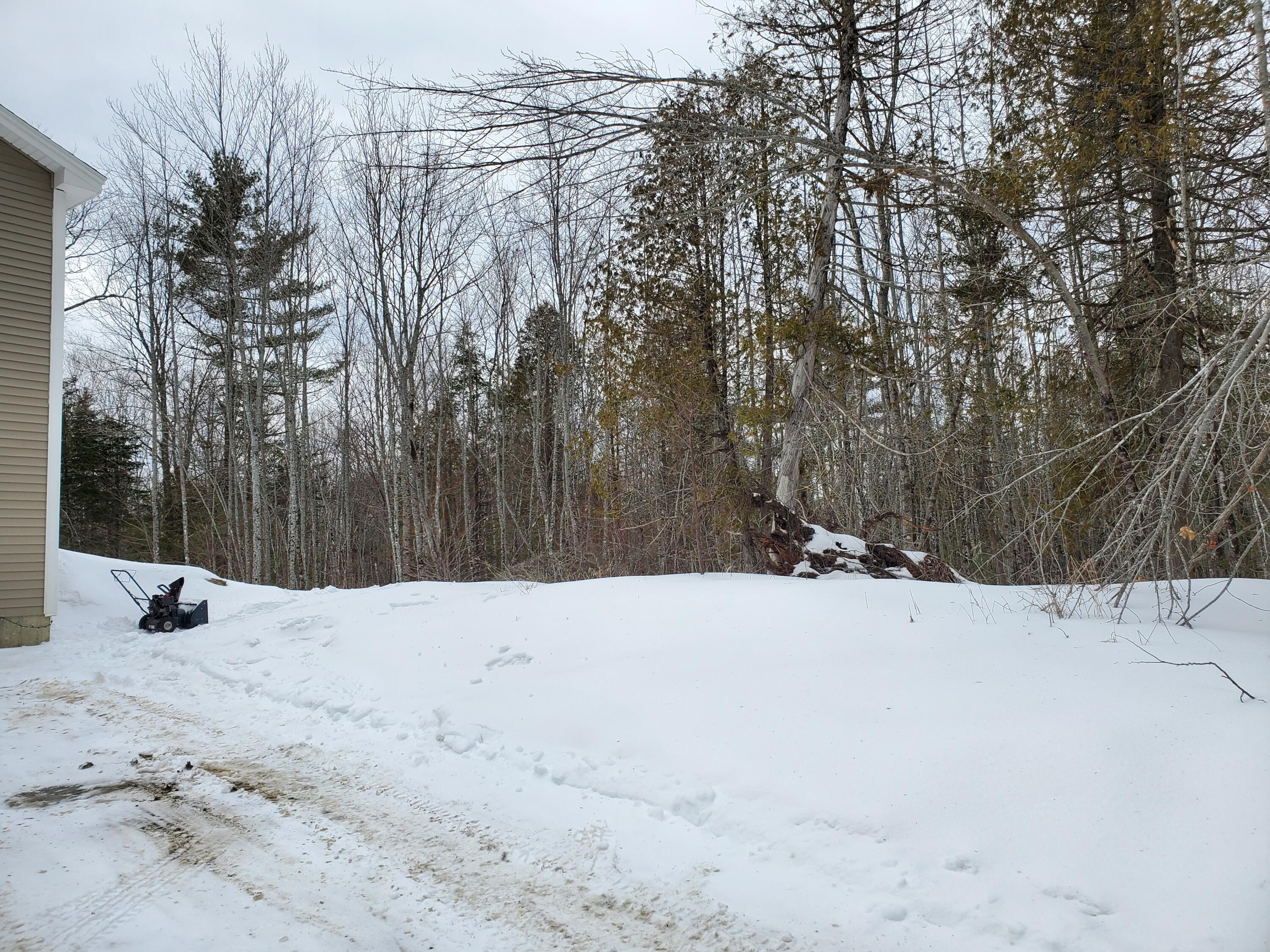 388 Kenduskeag Levant Road Kenduskeag, ME 04450 - Photo 27 of 28 Back woods