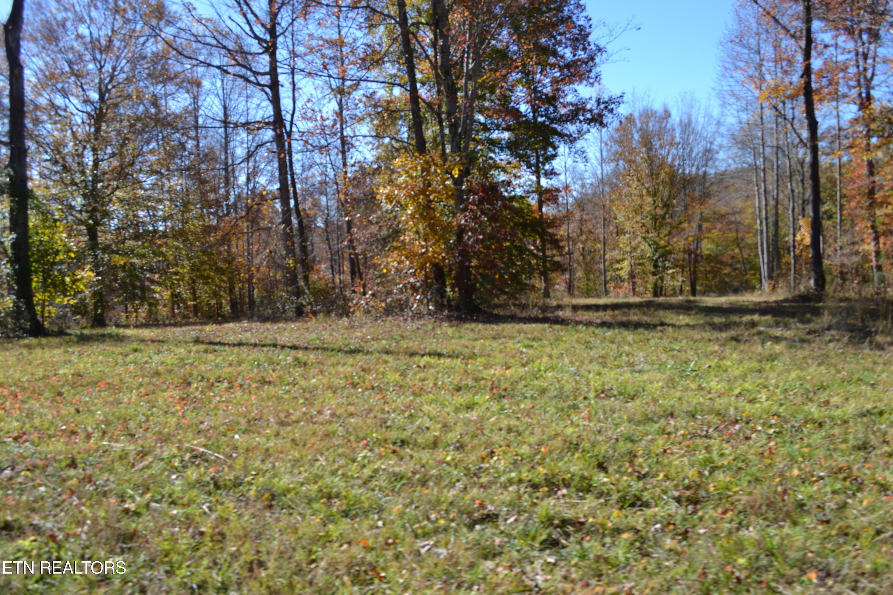28.30-ac Whitson Hollow Road Red Boiling Springs, TN 37150 - Photo 19 of 50 DSC_0118
