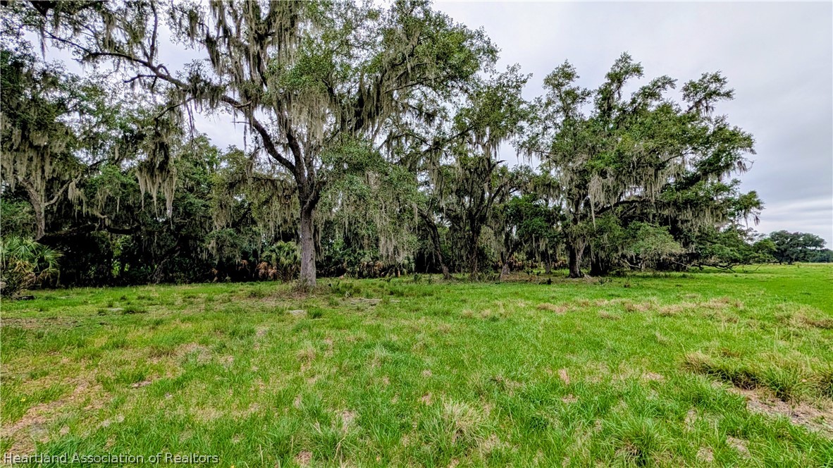 Griffin Road Wauchula, FL 33873 - Photo 6 of 17 a view of a grassy field with trees