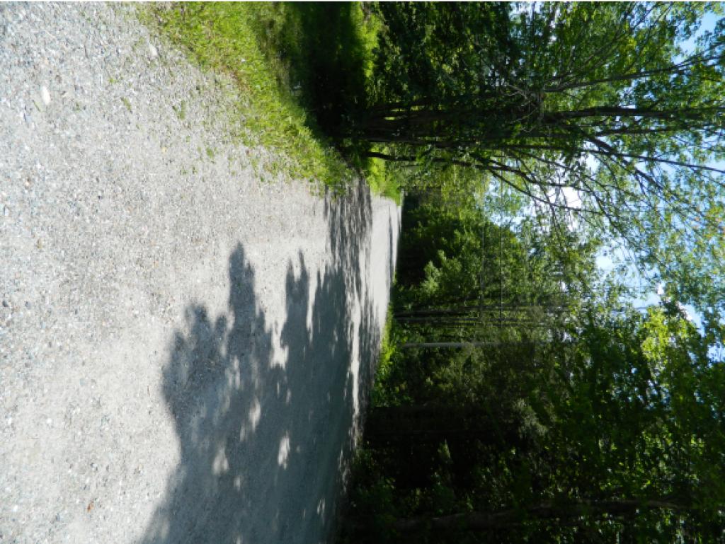 262 Lafayette Road Bristol, VT 05443 - Photo 19 of 21