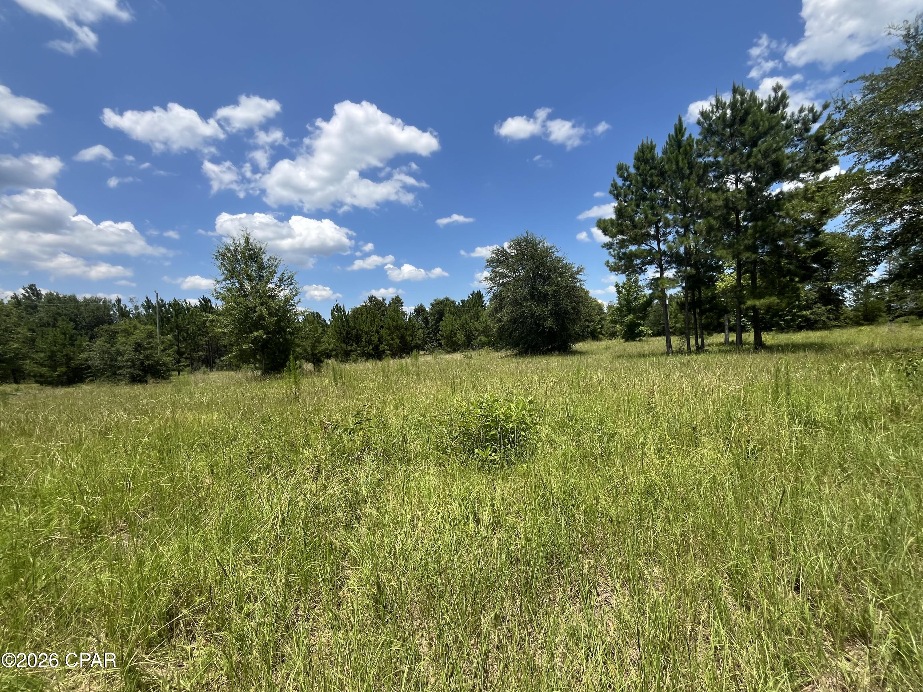 0 Gotcha Road Marianna, FL 32448 - Photo 16 of 19