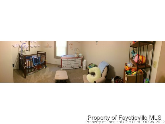 3337 South River School Road Wade, NC 28395 - Photo 3 of 8 Gallery Image 3