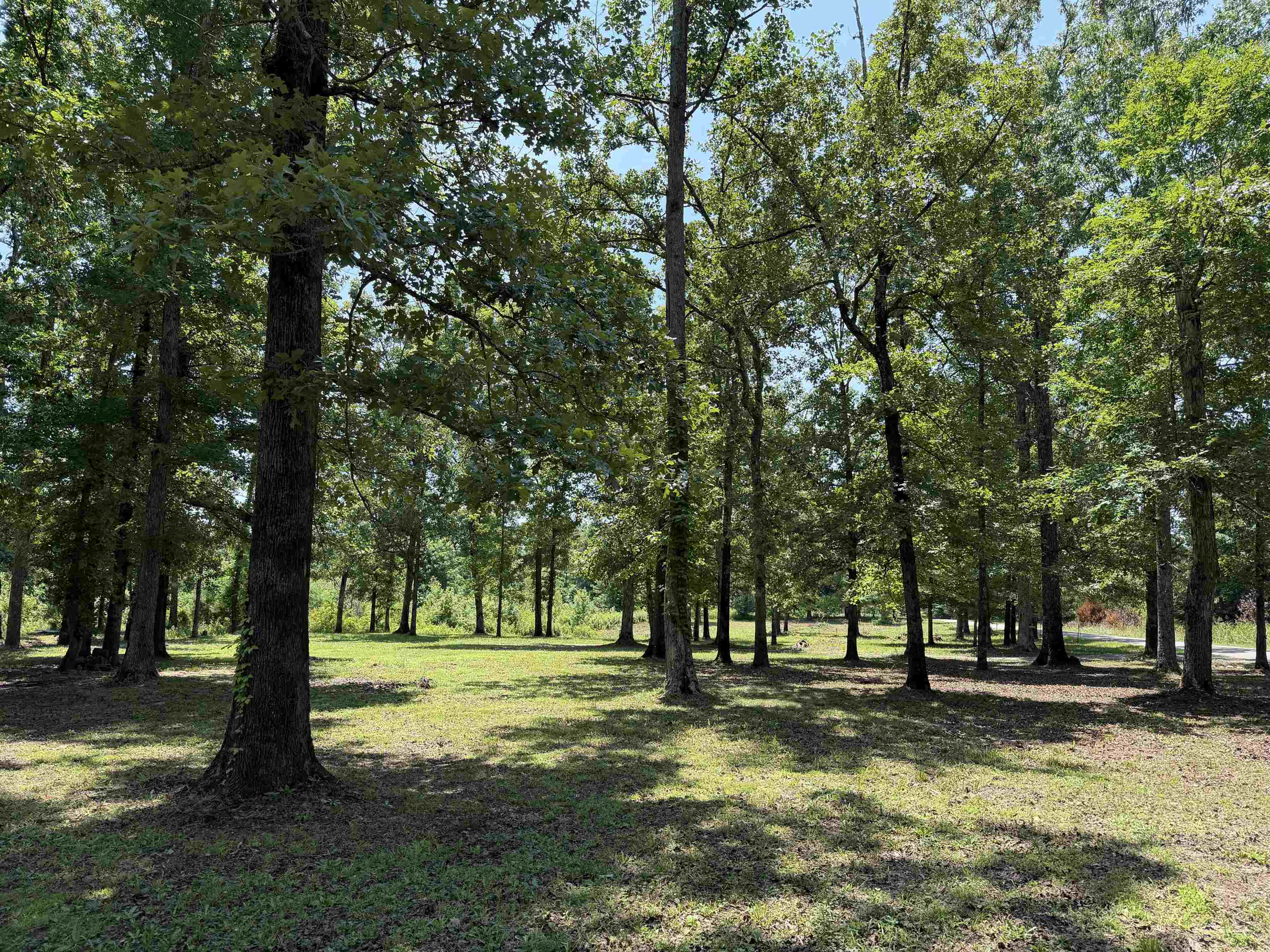730 Old Union Road Adamsville, TN 38310 - Photo 31 of 40