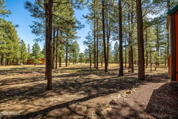 $475,000 | 11 North County Road, Greer, AZ 85927