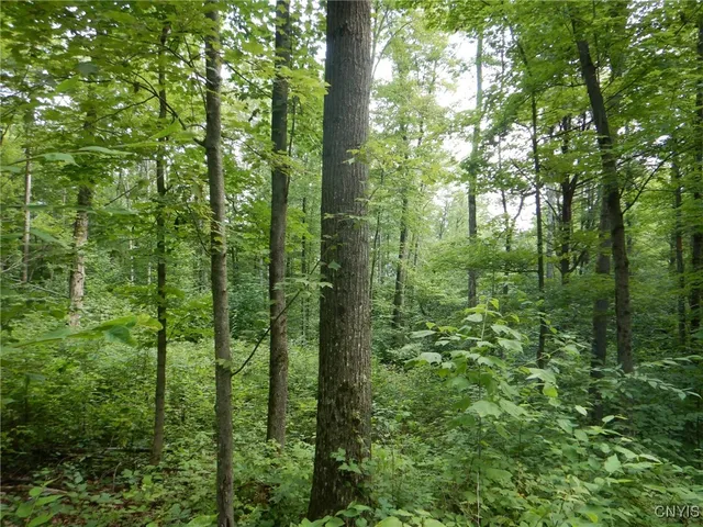 $174,900 | 0 Starks Road, Newfield, NY 14867