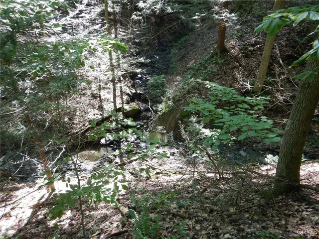 $174,900 | 0 Starks Road, Newfield, NY 14867