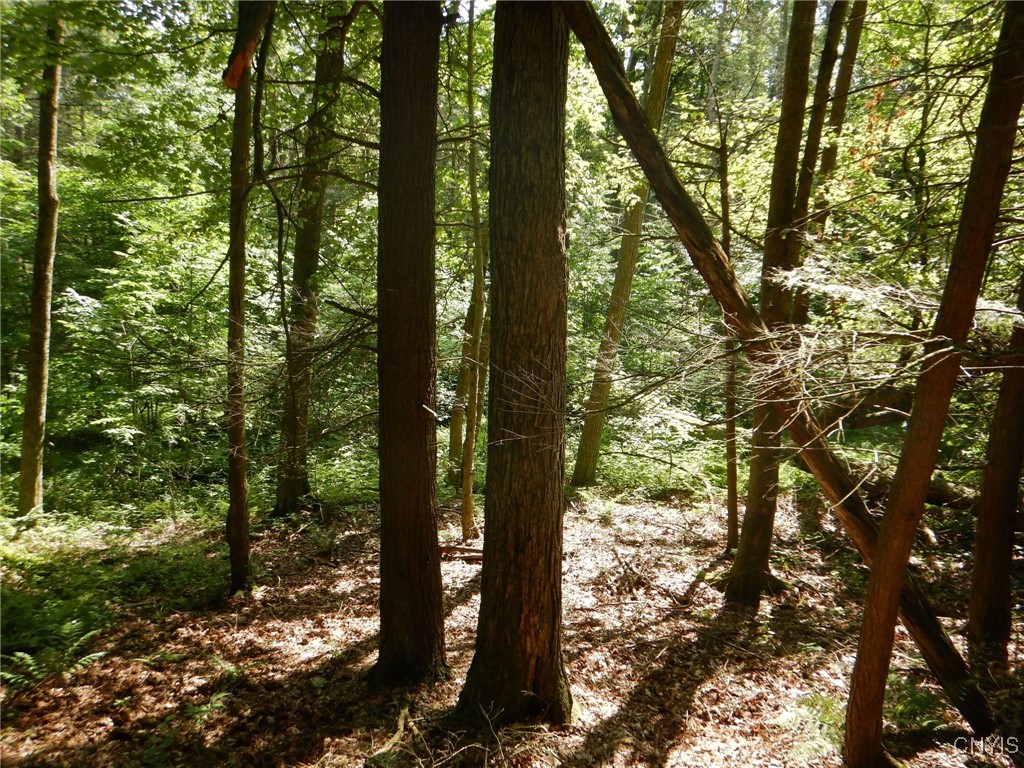 0 Starks Road Newfield, NY 14867 - Photo 14 of 15