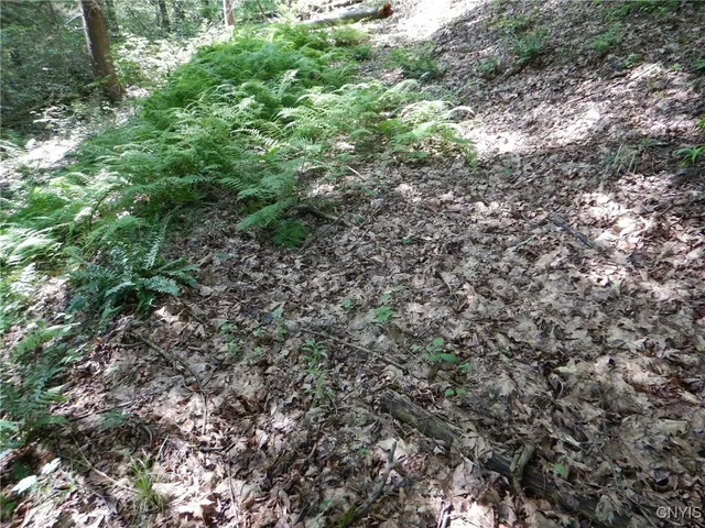 $174,900 | 0 Starks Road, Newfield, NY 14867